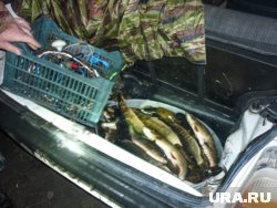Мужчины занимались браконьерством в Очерском районе
