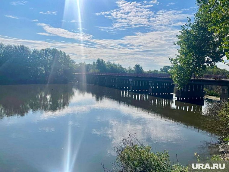 В Кургане найдено тело в воде у моста