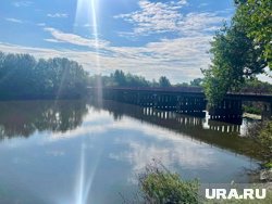 В Кургане найдено тело в воде у моста