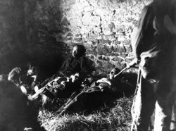 Раненные немцы умоляли медсестер из «Красного креста» не сдавать их советским солдатам