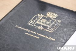 В думе прошло внеочередное заседание комиссии по местному самоуправлению 