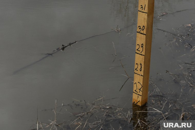 Вода прибыла в реке у села