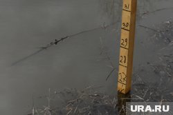 Вода прибыла в реке у села