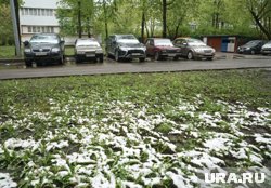 Бабье лето на Ямале подходит к концу (архивное фото)