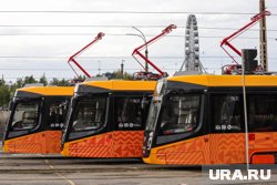 Власти хотят обновить весь трамвайный парк