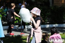 Вату будут раздавать в Тюмени в одном из ТРЦ города 
