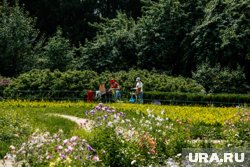 Взимать плату за фотосъемку начали после реконструкции