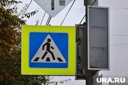 Водитель не заметил девочку на пешеходном переходе