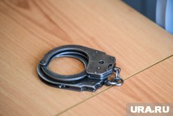 За нападение на полицейских могут возбудить уголовные дела