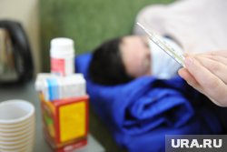 В ХМАО высок риск заразиться инфекцией, которую распространяют грызуны и комары