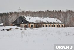 Имущество хозяйств-банкротов выставлено на торги