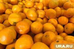 Зараженную партию не стали уничтожать