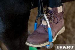 Для верховой езды нужна обувь с небольшим каблуком