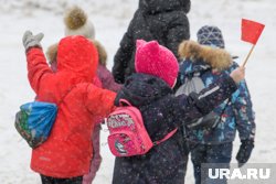 В Сургуте в школу отправятся только старшеклассники