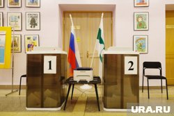 Оппозиции удалось удержать лишь минимум мест в курганской облдуме 