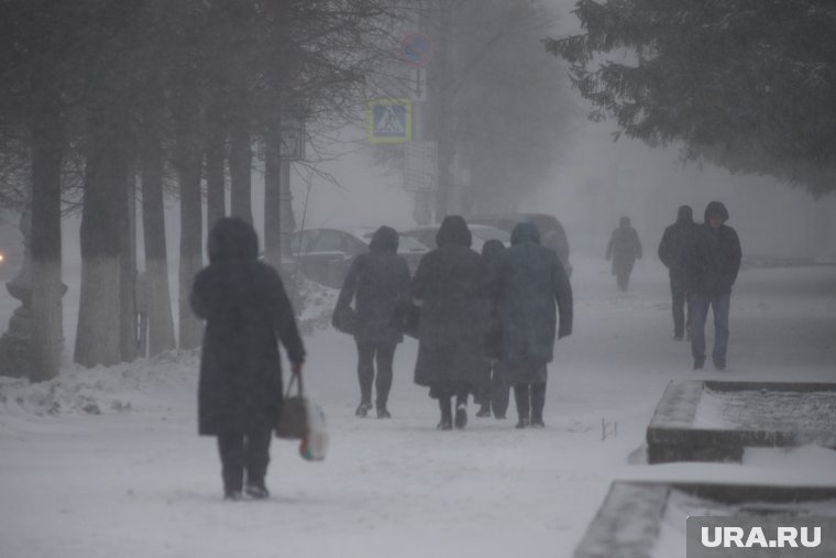 В отдельные дни возможен туман, в последние дни февраля - снег