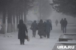 В отдельные дни возможен туман, в последние дни февраля - снег