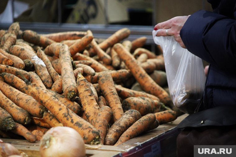 Курганцы переживают из-за урожая моркови