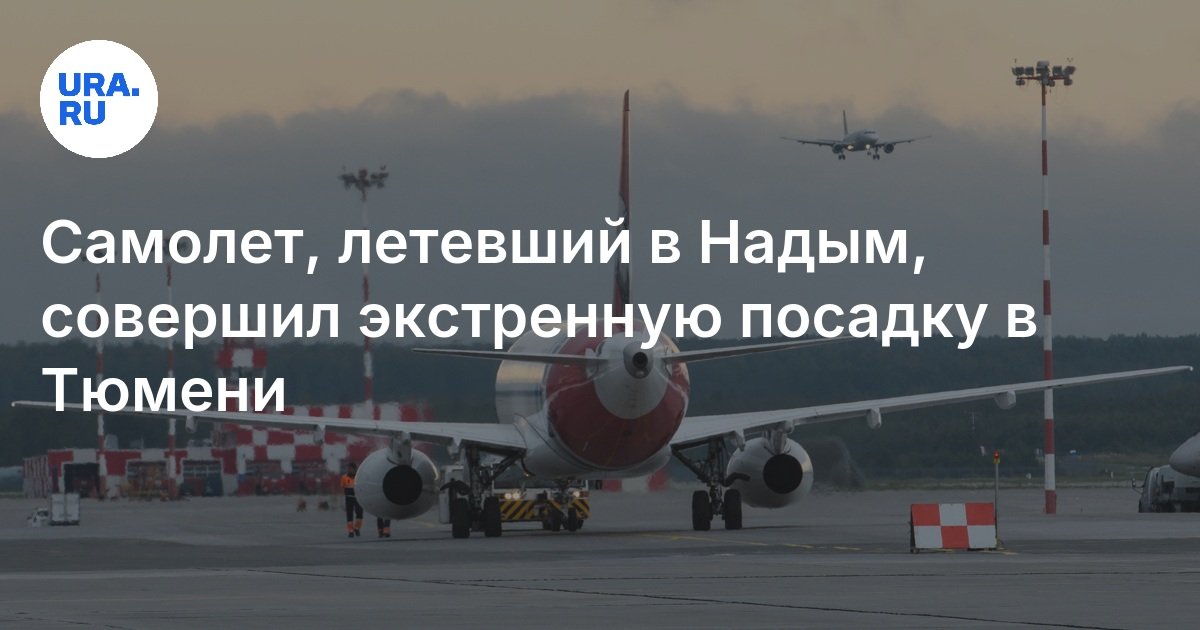 Ямал авиакомпания. По каким дням летает самолет. Ямал регистрация на рейс. Авиа билеты надым. Москва-ямал авиабилеты.