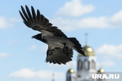 День памяти преподобных Сергия и Германа Валаамских — основателей Валаамского монастыря