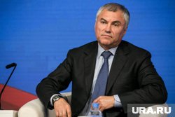 Володин рассказал о разговоре с Путиным