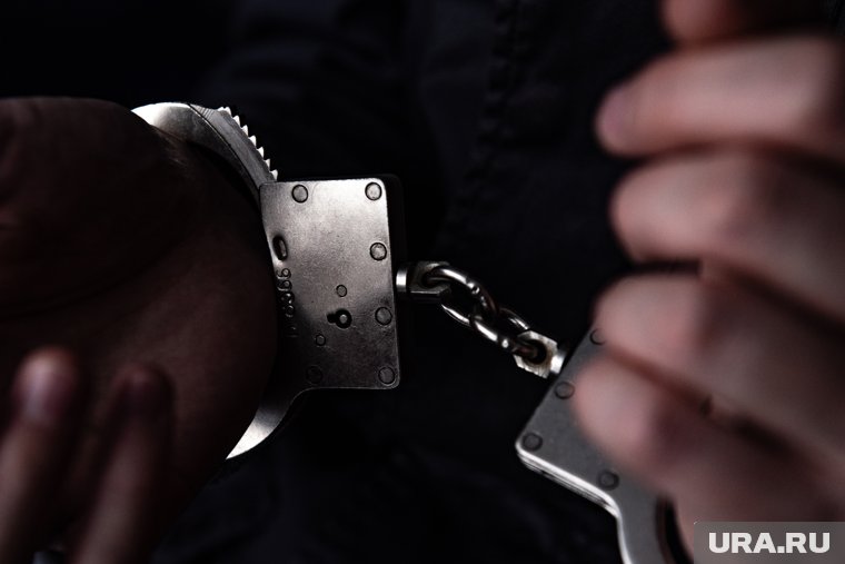 Нарушителю инкриминировали применение насилия в отношении представителя власти