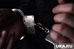 Нарушителю инкриминировали применение насилия в отношении представителя власти