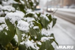 Первый снег в Челябинской области обнаружили утром 23 сентября