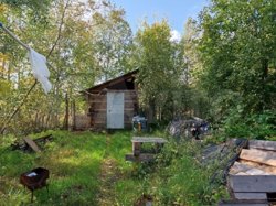 Хозяева построили на даче баню