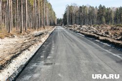 Новую дорогу к кладбищу построят к ноябрю 2026 года