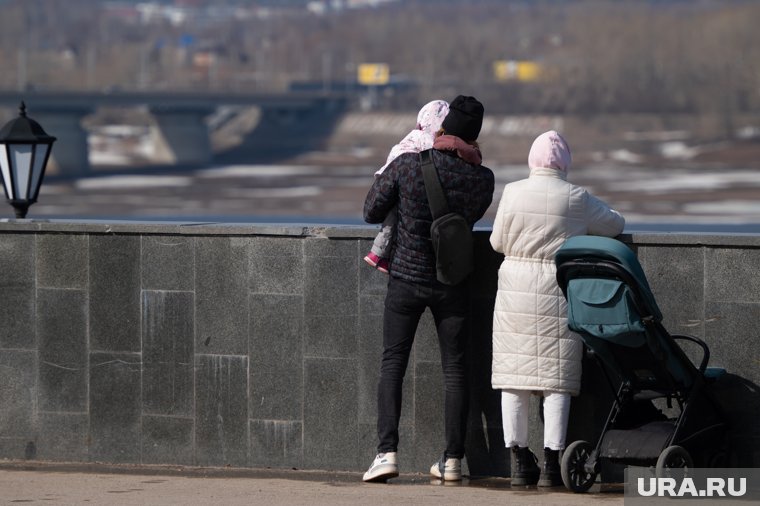 Ларионова заявила, что коэффициент рождаемости в РФ ниже необходимого уровня