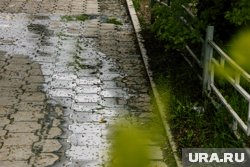 Дожди ждут Свердловскую область 19 и 20 мая