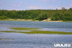 Местные жители боятся, что не справятся своими силами