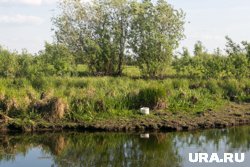 В ХМАО на берегу реки, где пропала семья аборигенов, найдена куртка 16-летнего подростка