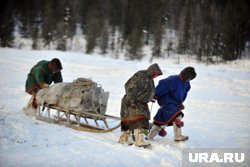 Тундровики смогут получить выгодную субсидию на образование