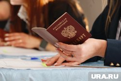 Курганцы могут проголосовать как на избирательных участках, так и удаленно