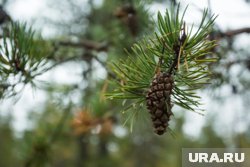Не бойтесь слухов — правда часто оказывается страшнее