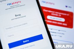Заявление можно подать через сервис «Госуслуги»