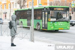 В Тюмени организуют еще одну выделенную полосу для автобусов