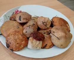 Грибы из Чистопрудного