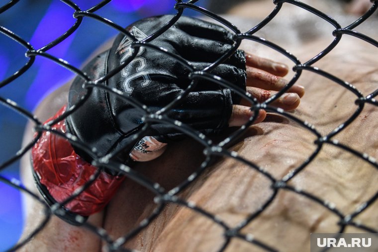 Перед выходом на ринг спортсмены будут соревноваться на игровых приставках
