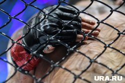 Перед выходом на ринг спортсмены будут соревноваться на игровых приставках