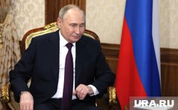 Владимир Путин высоко оценил профессиональные компетенции Алексея Нечаева