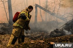 Площадь пожара в Краснодарском крае увеличилась до 32 гектаров