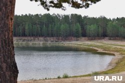 В результате двух ЧП погибли женщина и мужчина