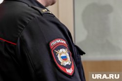 Сейчас фигуранты задержаны и доставлены в полицию
