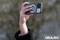В Курганской области в мае больше всего подешевели смартфоны