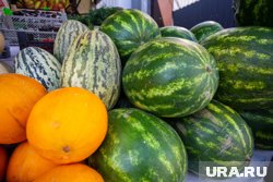 Поставки арбузов увеличились в восемь раз, дынь - сократились в четыре раза 
