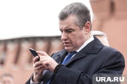 В 2000 году Слуцкий стал замруководителя делегации Федерального собрания РФ ПАСЕ