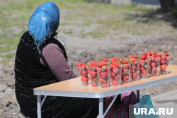 Уличные продавцы облюбовали места с высокой проходимостью в ХМАО